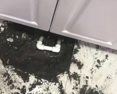 秀屿查漏水哪家好